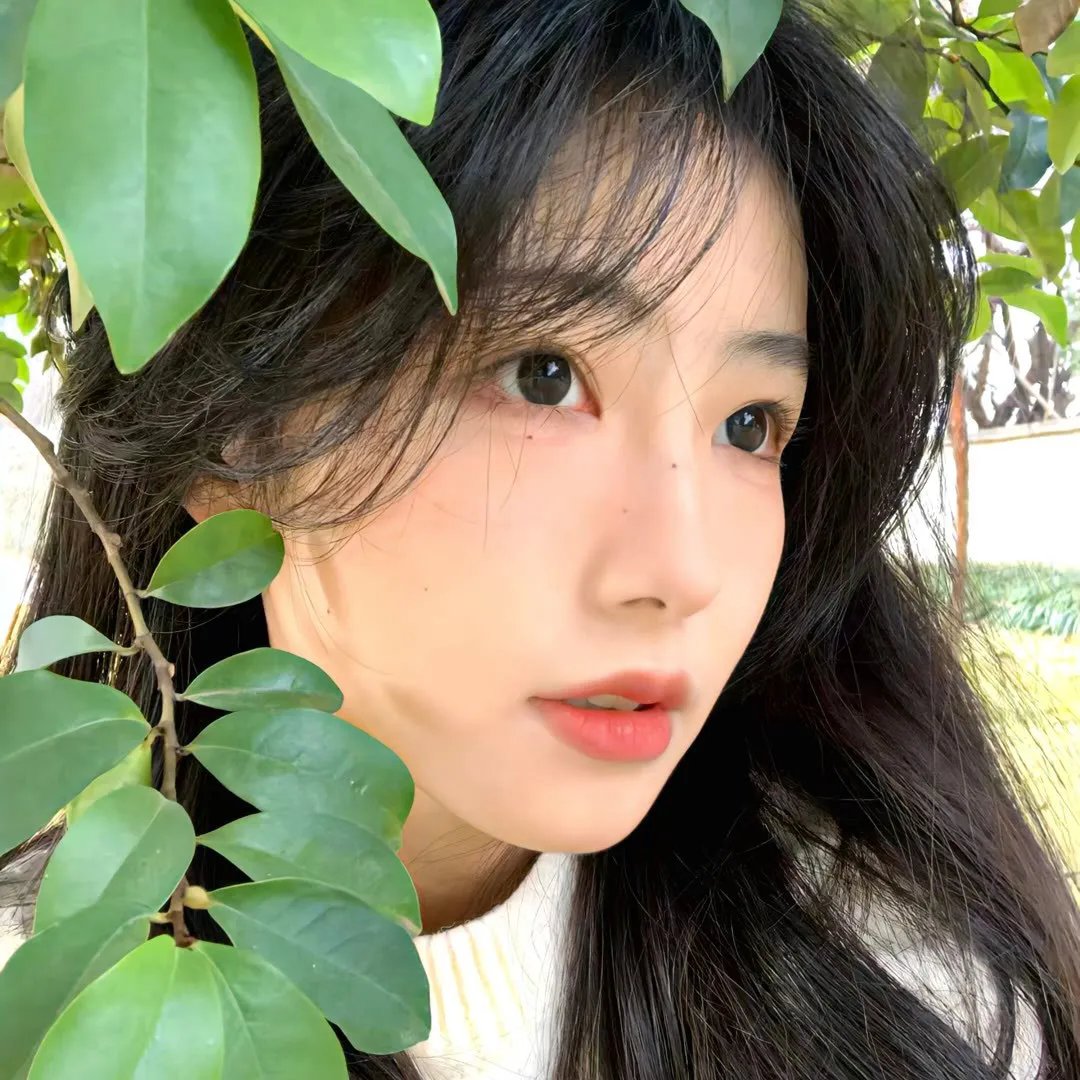 又喜又羞物语