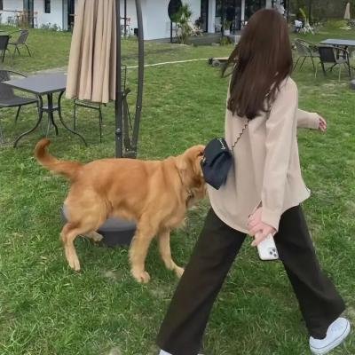 望实与君雄